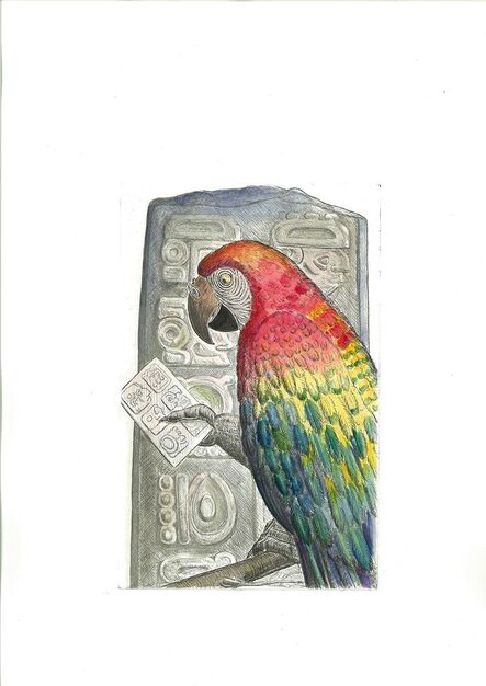 Bjorn Skaarup, ‘Scarlet Macaw, Honduras’, 2016