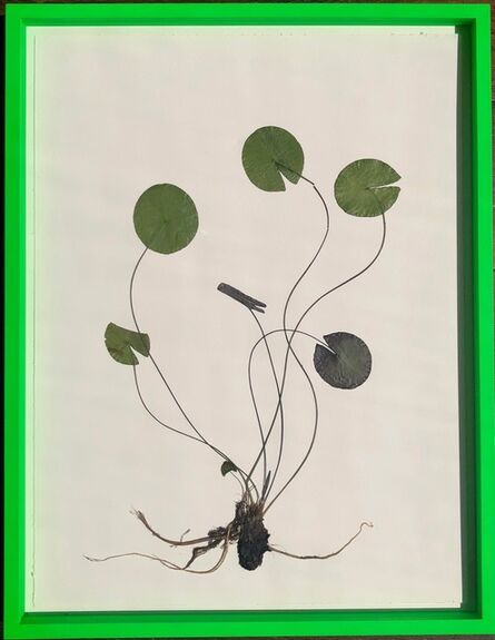 Olafur Eliasson, ‘Herbarium’, 2021
