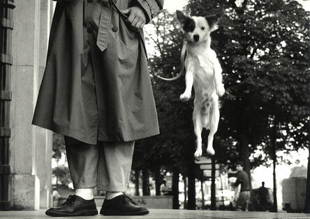 Elliott Erwitt, ‘Paris, France (Dog Jumping)’, 1989