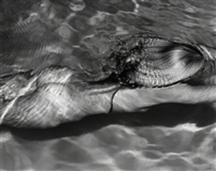 Michael Dweck, ‘Mermaid 1, Amagansett’, 2005