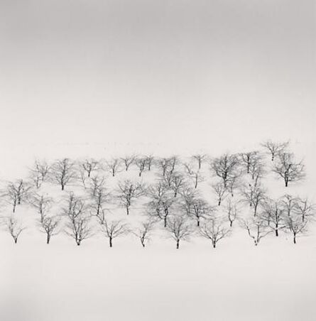 Michael Kenna, ‘Sixty Trees, Nakafurano, Hokkaido, Japan’, 2004