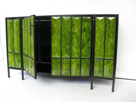 Christophe Côme, ‘Green Lava Cabinet’, 2012