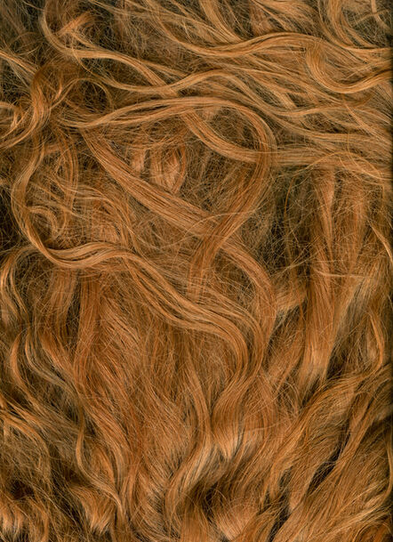 Lynné Bowman Cravens, ‘Hair #2’, 2015