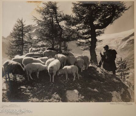 Albert Steiner, ‘”Graubunden. Schafhirte bei Alp Grum am Berninapass.-”  ("Graubunden. Shepherd at Alp Grum am Bernina Pass.- ")’, 1925-1950