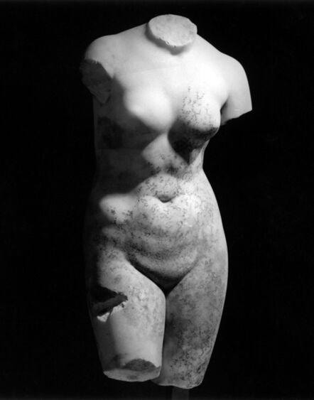 Robert Mapplethorpe, ‘Female Torso’, 1978