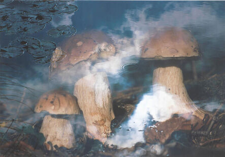Peter Fischli & David Weiss, ‘Pilze in Wasser (Mushrooms in Water) (From Merce Cunningham Dance Company: 50th Anniversary)’, 1998