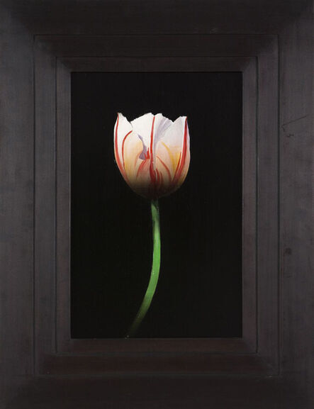Michael Gregory, ‘Untitled (tulip)’, 2014
