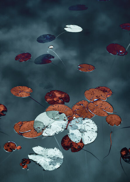 Santeri Tuori, ‘Water Lilies 15’, 2020