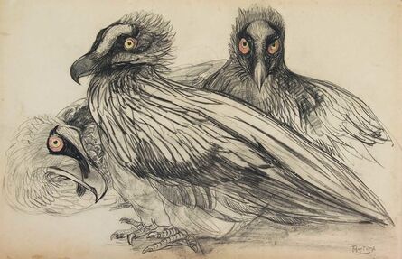Theo van Hoytema, ‘Young bearded vultures’, ca. 1899