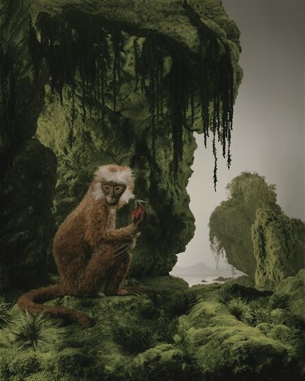 Didier Massard, ‘Le Singe (The Monkey)’, 2011