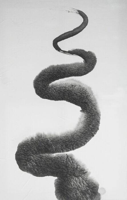 Rubén Fuentes, ‘Ride the Snake’, 2016