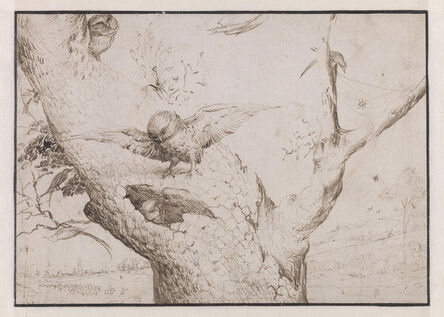 Hieronymus Bosch, ‘The Owl’s Nest’, 1505-1515