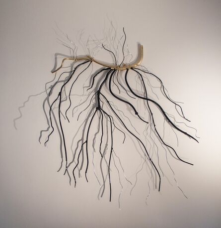 Dalya Luttwak, ‘Roots or Branches’, 2014
