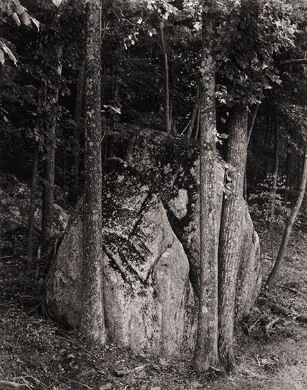 Paul Caponigro, ‘Stone and Tree, Blue Ridge, VA’, 1965