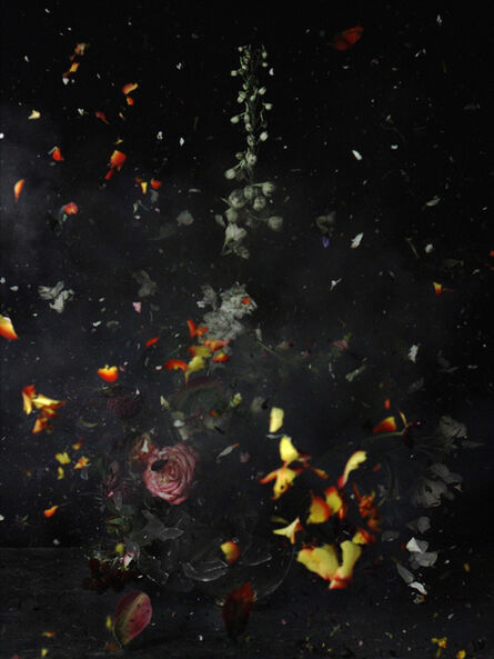 Ori Gersht, ‘Time After Time, Untitled 12’, 2006