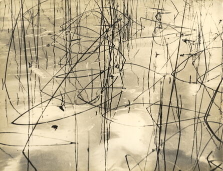 Marcel Giró, ‘"Untitled (Grass in Water)’, ca. 1950
