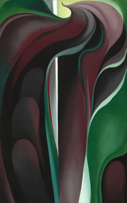 Georgia O’Keeffe, ‘Jack-in-the-Pulpit No. IV’, 1930