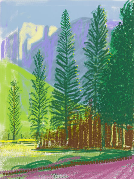 David Hockney, ‘"Untitled No.12" from "The Yosemite Suite"’, 2010