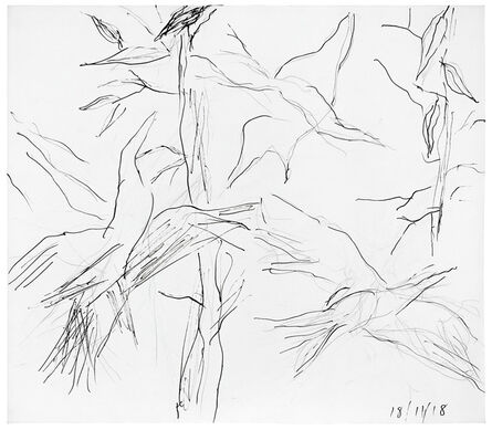 Ken Whisson, ‘Birds and Gum Leaves’, 2018, 11, 18 00:00:00 UTC