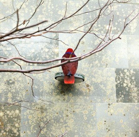 Eric Pillot, ‘Red Bird’, 2015
