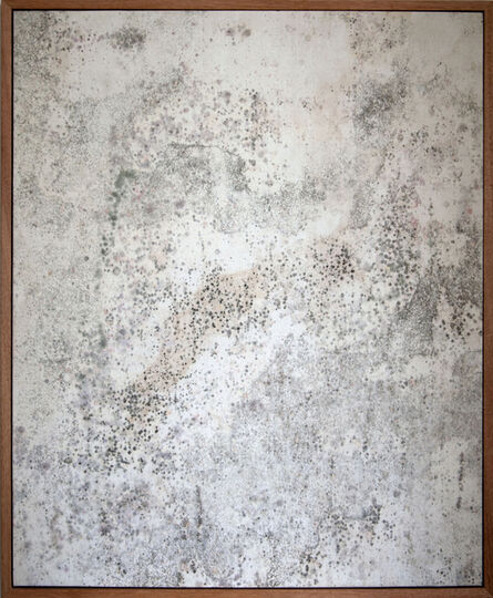 Oscar Berglund, ‘Untitled IV (Stained)’, 2015