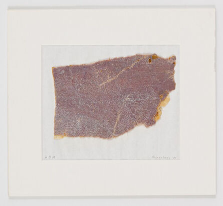 Heidi Bucher, ‘Untitled (Ahnenhaus Fragment 81)’, 1981