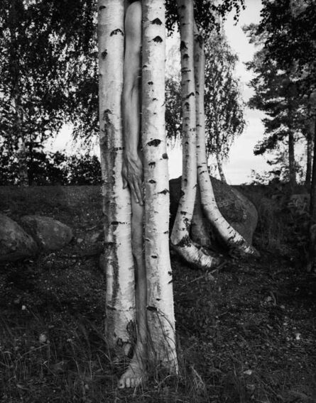 Arno Rafael Minkkinen, ‘Väisälänsaari, Finland’, 1998