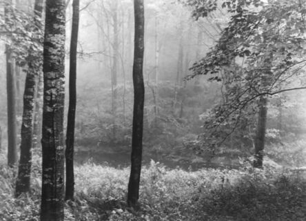Paul Caponigro, ‘Woods in Mist, Redding, CT’, 1969