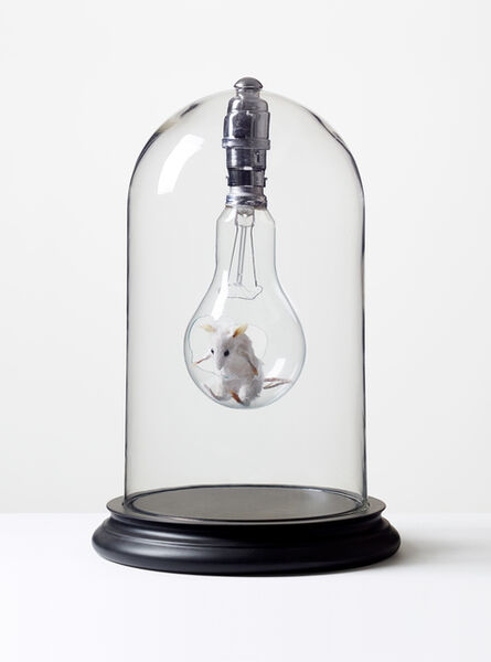 Nancy Fouts, ‘Mouse in Light Bulb’, 2010
