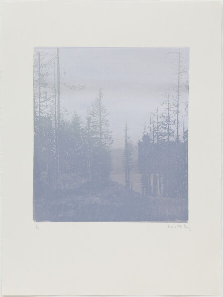 Paul Winstanley, ‘Landscape 44’, 2010