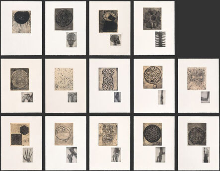 Terry Winters, ‘Fourteen Etchings (boxed portfolio)’, 1989