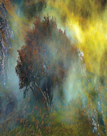 Albert Watson, ‘Fairy Glen in Mist, Isle of Skye, Scotland’, 2013