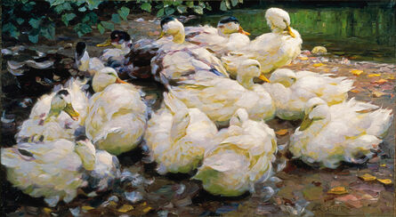 Alexander Max Koester, ‘Moulting Ducks’, ca. 1900