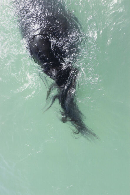 Jitka Hanzlová, ‘#40 Untitled (Swimming) from HORSE 2007-2014’, 2012