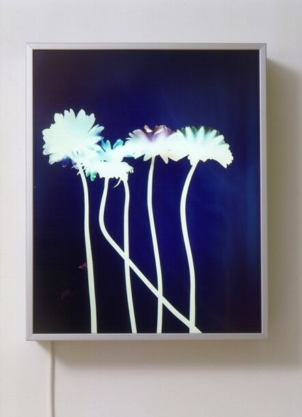 Matt Mullican, ‘Untitled (Experiments with Light)’, 2001