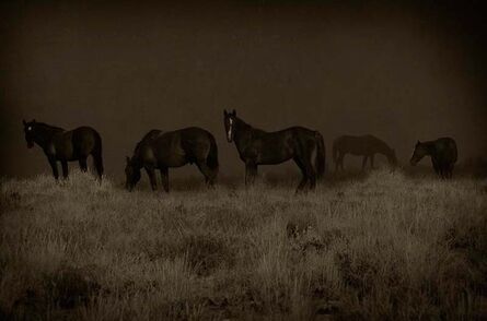 Jack Spencer, ‘Wild Horses, Greenriver, Wyoming’, 2007