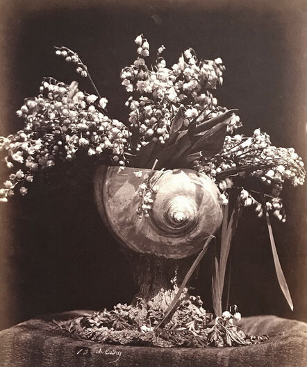 Charles Aubry, ‘Lilies of the Valley in a Nautilus Shell (Muguet dans une Conque)’, ca. 1864