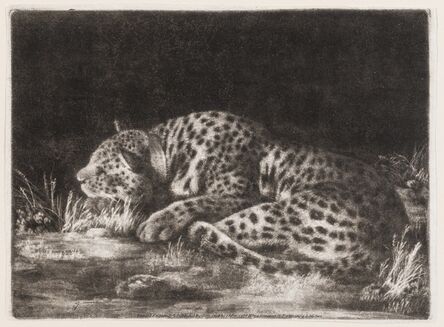 George Stubbs, ‘A sleeping cheetah (A Tyger)’, 1788