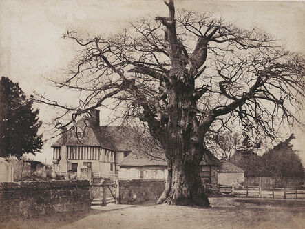 Benjamin Brecknell Turner, ‘The Oak Tree in Winter, Hawkhurst, Kent, UK’, ca. 1852
