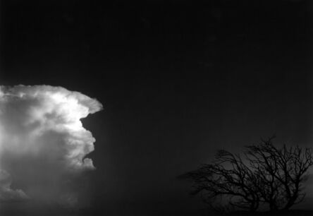 Paul Caponigro, ‘Cloud and Tree, San Sebastian, Santa Fe, NM’, 1982