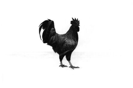 Filio Galvez, ‘Big Black Cock’, 2016