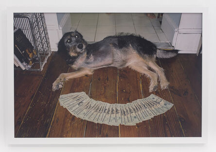 Andrew Jeffrey Wright, ‘3 legged dog on floor’, 2010