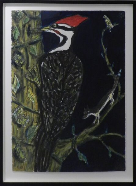 Frank X. Tolbert, ‘Pileated Woodpecker’, 2015