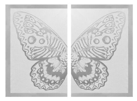 Rubem Robierb, ‘Hybrid Silver Butterfly on White ’, 2016