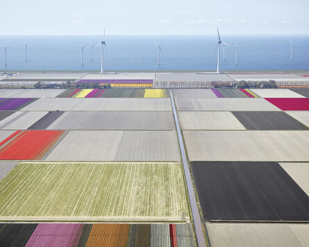 David Burdeny, ‘Tulips and Turbines 2, Noordoostpolder, Netherlands’, 2016