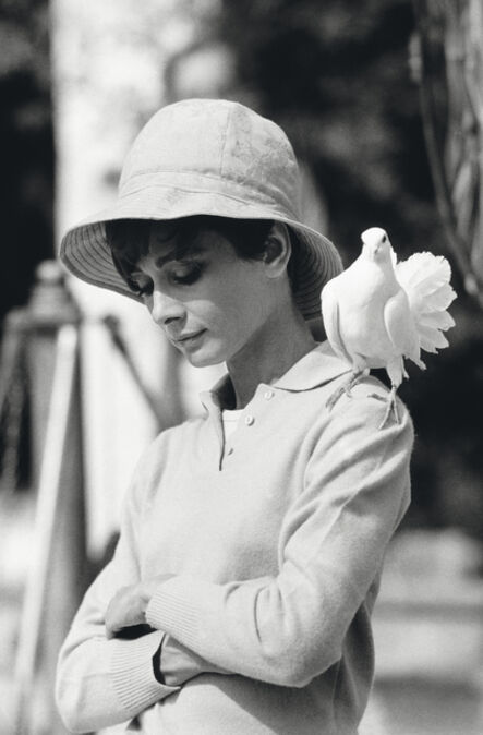 Terry O'Neill, ‘Hepburn With Dove’, 1966