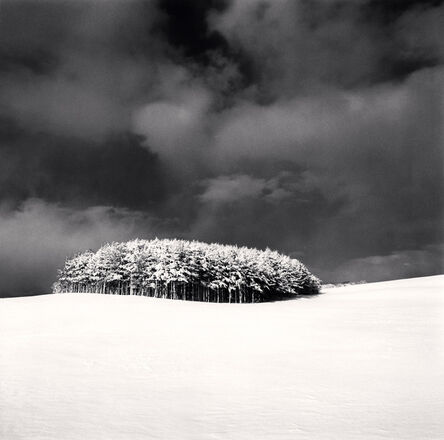 Michael Kenna, ‘White Copse, Study 3, Wakkanai, Hokkaido, Japan’, 2004