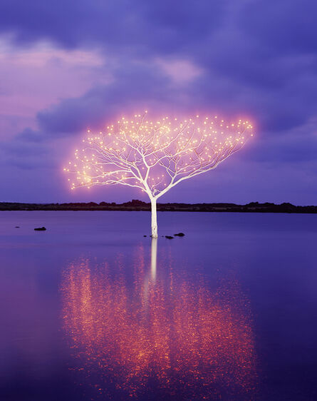 Lee Jeonglok, ‘Tree of Life 5-4-8’, 2013