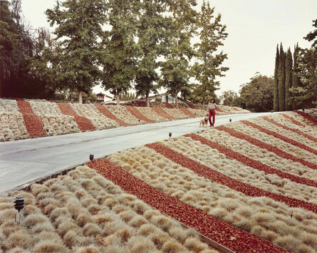 Joel Sternfeld, ‘Beverly Hills, California, May’, 1979