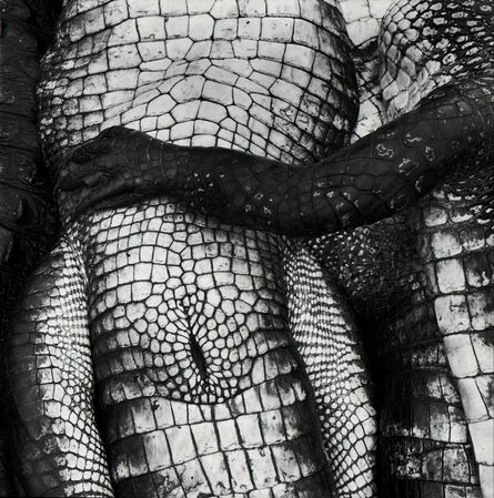 Debbie Fleming Caffery, ‘Gator Paw’, 1995